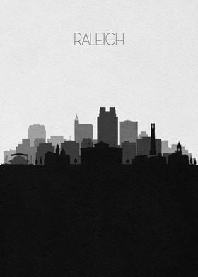 Raleigh Skyline