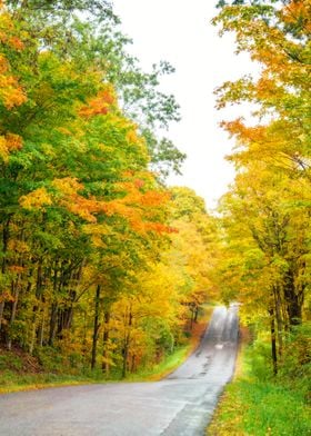 Country Road in Autumn