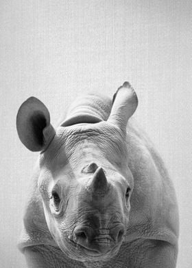 Baby Rhino BW