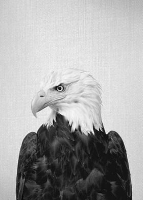 Eagle BW