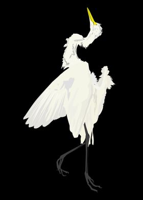Dead Egret