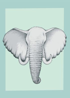 The Great White Elephant