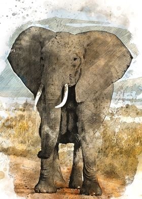 Watercolour Elephant