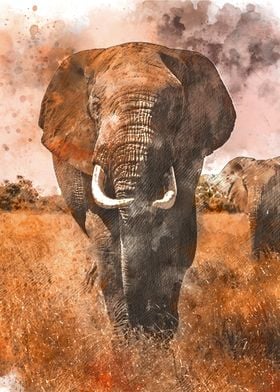 Watercolour Elephant