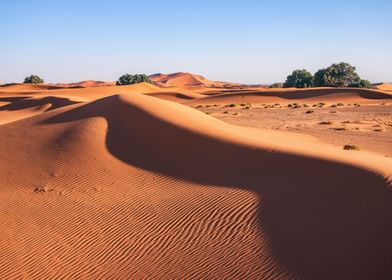 Sands of Desert
