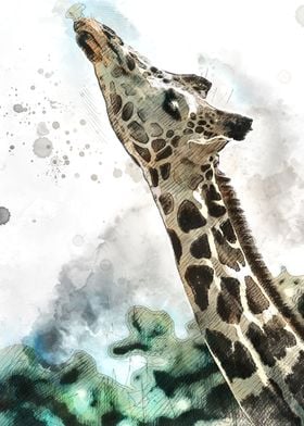 Watercolour Giraffe