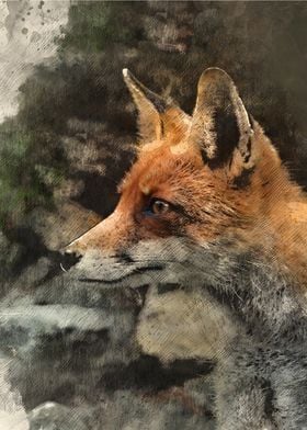 Watercolour Fox