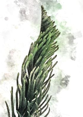 Watercolour Cacti