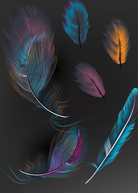 Multicolor feathers