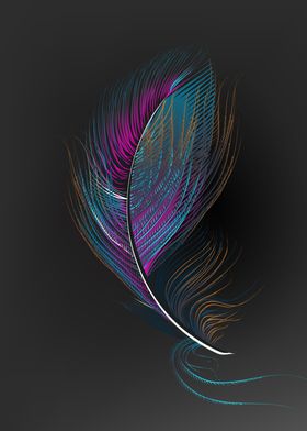 Multicolor feathers