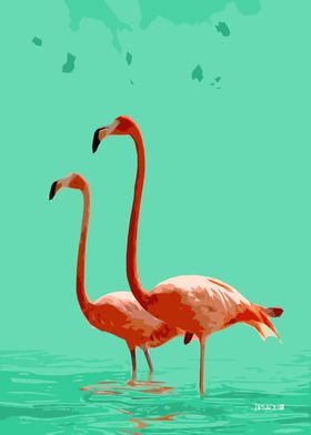 Flamingos 