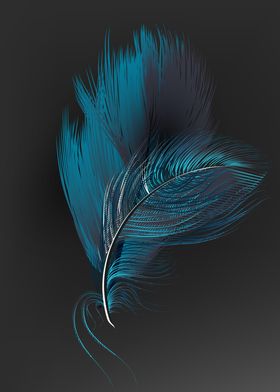 Multicolor feathers