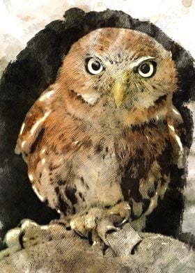 Watercolour Owl