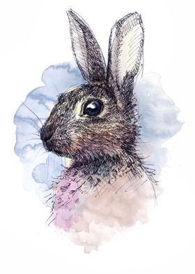 Portrait of a Hare