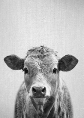 Cow BW