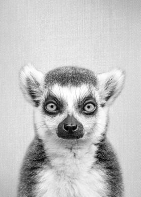 Lemur BW