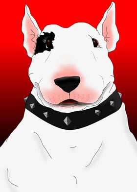 bull terrier