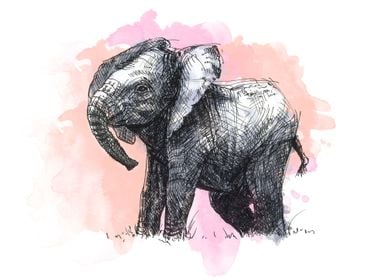 The Elephant