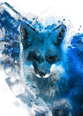 Blue Fox