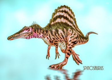 Spinosaurs