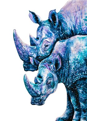 Rhinoceros Couple 