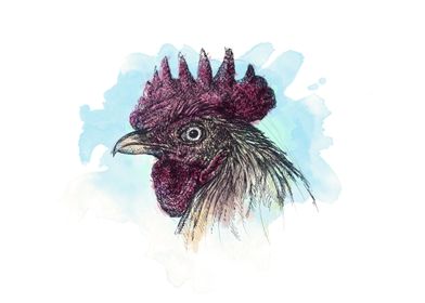 The Chicken