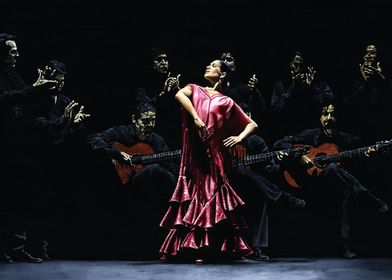 Proud Flamenco Dancer