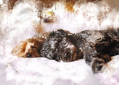 Dogs watercolor
