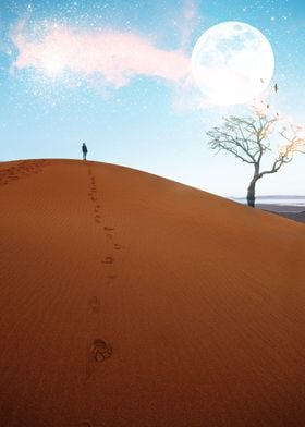 Walking through the desert