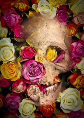 Roses Skull