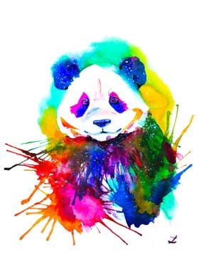 Panda Splash 