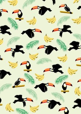 Toucans Pattern