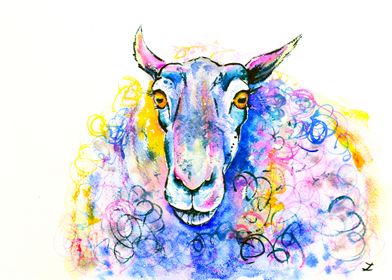 Colorful Sheep 