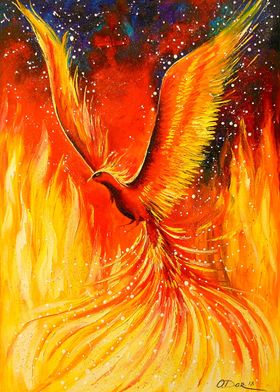 Phoenix bird 