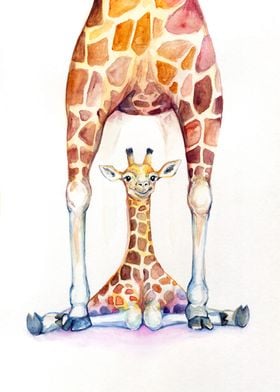 Gorgeous Giraffes