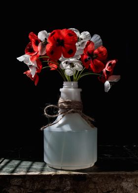 Red and white poppies