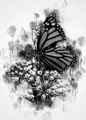 Monarch Butterfly BW