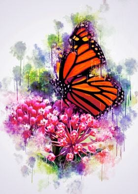 Monarch Butterfly