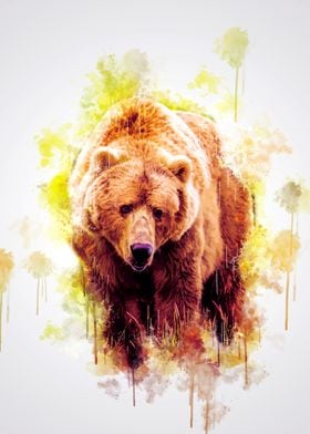 Brown Bear