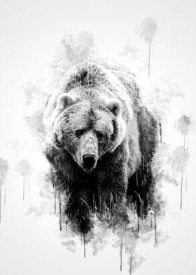 Brown Bear Black and White