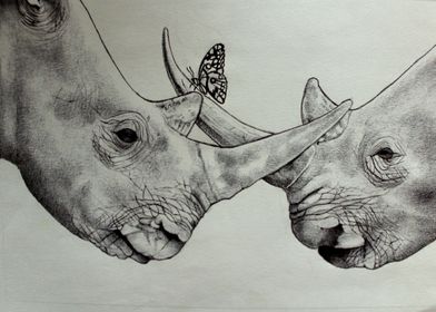 Peaceful Rhinos