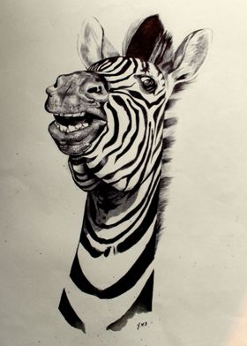 Zebra