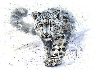 Snow leopard watercolor