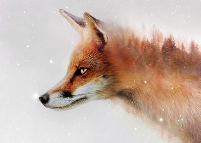 Autumanal Fox