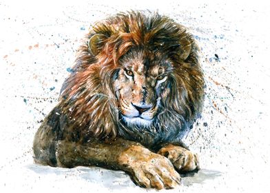 Lion watercolor