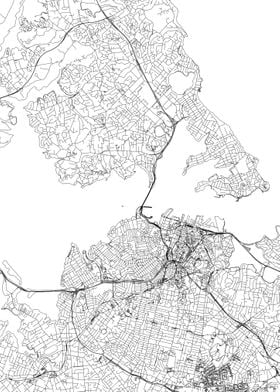 Auckland  White Map