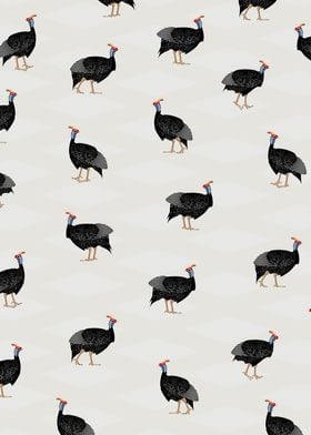 Guinea fowl Birds