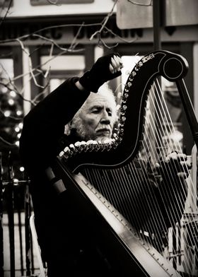 The harpist