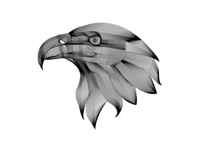 the  mesh eagle head 