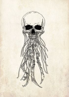 skull jellyfish